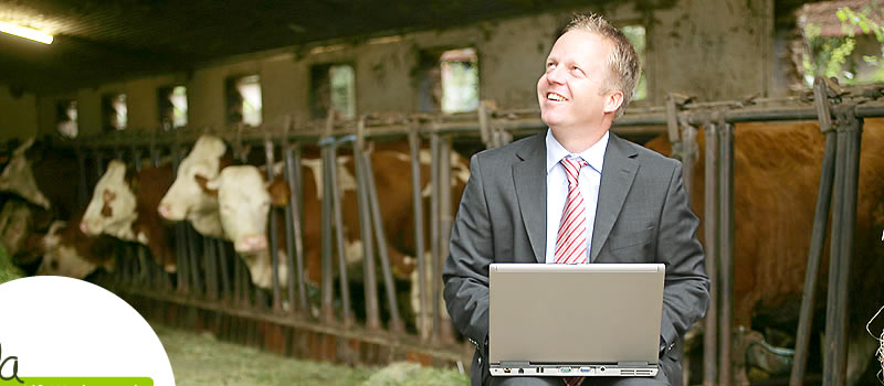 Internetagentur AlfaWerbung im Raum Stuttgart